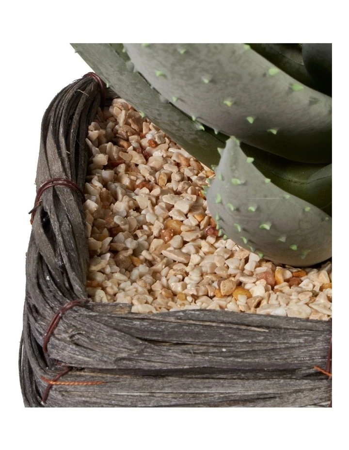 Budget π Cooper & Co 29cm Aloe Vera Artificial Plant In Basket βοΈ 5 Budget π Cooper & Co 29cm Aloe Vera Artificial Plant In Basket βοΈ - Image 5
