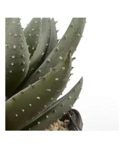 Budget π Cooper & Co 29cm Aloe Vera Artificial Plant In Basket βοΈ 11 Budget π Cooper & Co 29cm Aloe Vera Artificial Plant In Basket βοΈ -Deals Home DΓ©cor Store 827668180 6 720x928