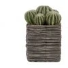 Deals 🛒 Cooper & Co 25cm Cactus Artificial Plant 🌟