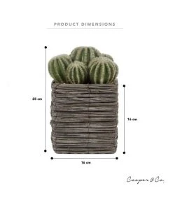 Deals 🛒 Cooper & Co 25cm Cactus Artificial Plant 🌟 -Deals Home Décor Store 827668270 3 720x928