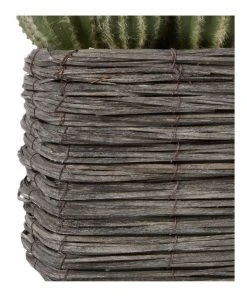 Deals 🛒 Cooper & Co 25cm Cactus Artificial Plant 🌟 -Deals Home Décor Store 827668270 5 720x928
