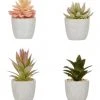 Outlet ⌛ Cooper & Co 16cm Set of 4 Succulents Artificial Plant 😍