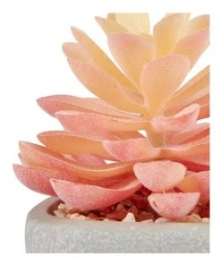 Outlet ⌛ Cooper & Co 16cm Set of 4 Succulents Artificial Plant 😍 -Deals Home Décor Store 827668810 3 720x928