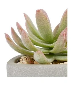 Outlet ⌛ Cooper & Co 16cm Set of 4 Succulents Artificial Plant 😍 -Deals Home Décor Store 827668810 4 720x928