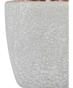 Outlet ⌛ Cooper & Co 16cm Set of 4 Succulents Artificial Plant 😍 -Deals Home Décor Store 827668810 5 720x928