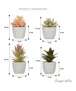 Outlet ⌛ Cooper & Co 16cm Set of 4 Succulents Artificial Plant 😍 -Deals Home Décor Store 827668810 6 720x928