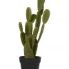 Budget 👍 Cooper & Co 55cm Pricky Pear Artificial Plant 🎁