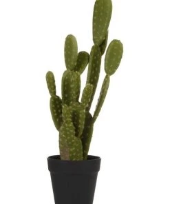 Budget π Cooper & Co 55cm Pricky Pear Artificial Plant π