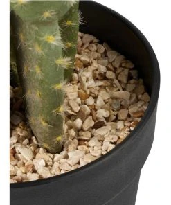 Budget 👍 Cooper & Co 55cm Pricky Pear Artificial Plant 🎁 -Deals Home Décor Store 827668900 4 720x928