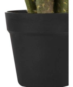 Budget 👍 Cooper & Co 55cm Pricky Pear Artificial Plant 🎁 -Deals Home Décor Store 827668900 5 720x928