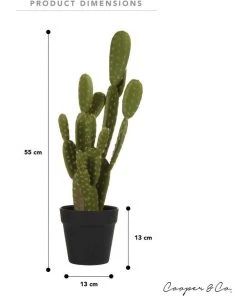 Budget 👍 Cooper & Co 55cm Pricky Pear Artificial Plant 🎁 -Deals Home Décor Store 827668900 6 720x928