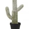 Best reviews of ❤️ Cooper & Co 41cm Mexican Cactus Artificial Plant ⭐