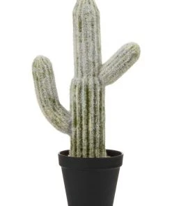 Best reviews of ❤️ Cooper & Co 41cm Mexican Cactus Artificial Plant ⭐