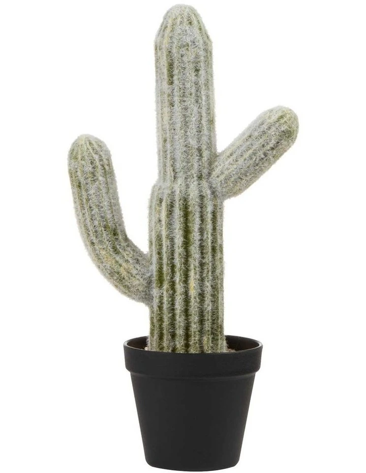 Best reviews of ❤️ Cooper & Co 41cm Mexican Cactus Artificial Plant ⭐ 1 Best reviews of ❤️ Cooper & Co 41cm Mexican Cactus Artificial Plant ⭐