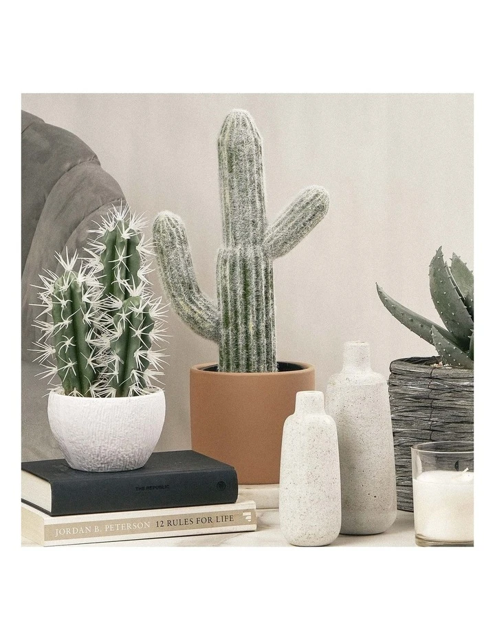 Best reviews of ❤️ Cooper & Co 41cm Mexican Cactus Artificial Plant ⭐ 2 Best reviews of ❤️ Cooper & Co 41cm Mexican Cactus Artificial Plant ⭐ - Image 2