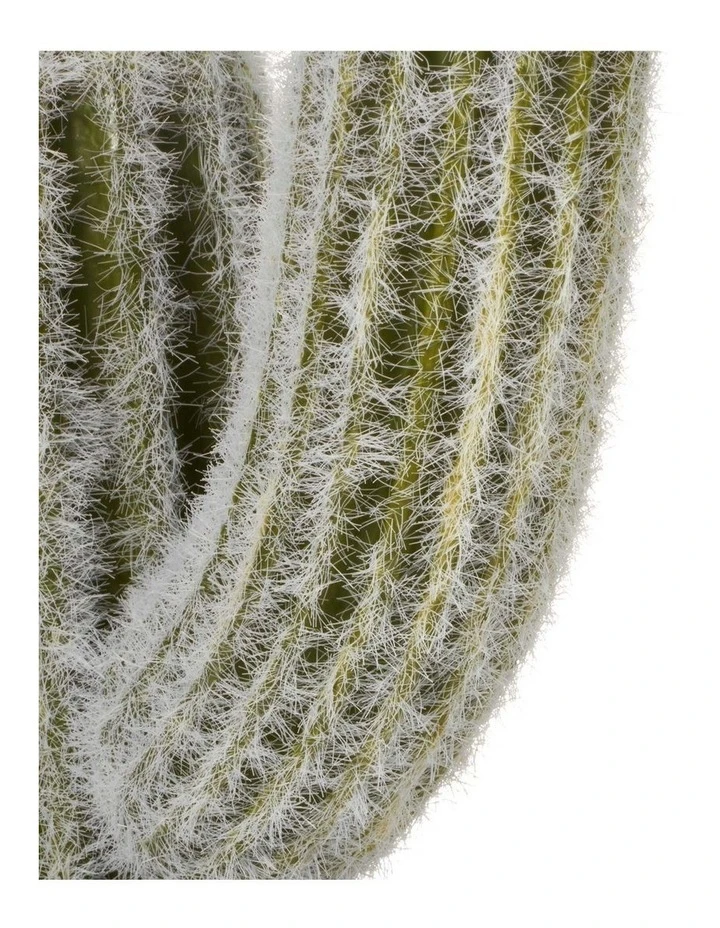 Best reviews of ❤️ Cooper & Co 41cm Mexican Cactus Artificial Plant ⭐ 3 Best reviews of ❤️ Cooper & Co 41cm Mexican Cactus Artificial Plant ⭐ - Image 3