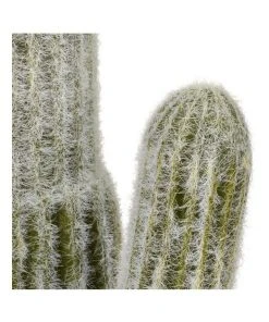 Best reviews of ❤️ Cooper & Co 41cm Mexican Cactus Artificial Plant ⭐ 9 Best reviews of ❤️ Cooper & Co 41cm Mexican Cactus Artificial Plant ⭐ -Deals Home Décor Store 827668990 4 720x928