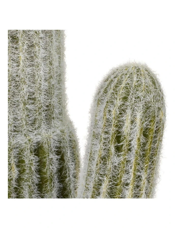 Best reviews of ❤️ Cooper & Co 41cm Mexican Cactus Artificial Plant ⭐ 4 Best reviews of ❤️ Cooper & Co 41cm Mexican Cactus Artificial Plant ⭐ - Image 4
