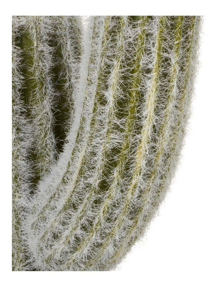 Best reviews of ❤️ Cooper & Co 41cm Mexican Cactus Artificial Plant ⭐ 5 Best reviews of ❤️ Cooper & Co 41cm Mexican Cactus Artificial Plant ⭐ - Image 5