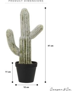 Best reviews of ❤️ Cooper & Co 41cm Mexican Cactus Artificial Plant ⭐ 11 Best reviews of ❤️ Cooper & Co 41cm Mexican Cactus Artificial Plant ⭐ -Deals Home Décor Store 827668990 6 720x928