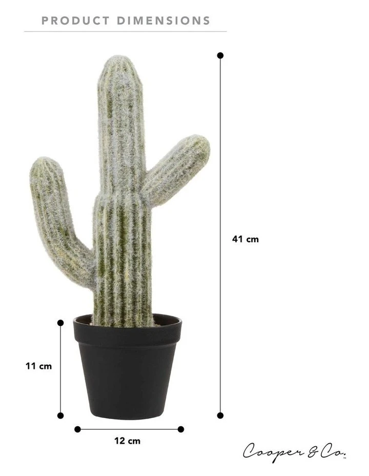 Best reviews of ❤️ Cooper & Co 41cm Mexican Cactus Artificial Plant ⭐ 6 Best reviews of ❤️ Cooper & Co 41cm Mexican Cactus Artificial Plant ⭐ - Image 6