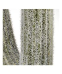 Best Sale ❤️ Cooper & Co 61cm Mexican Cactus Artificial Plant ❤️ -Deals Home Décor Store 827669080 5 720x928