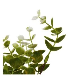 Top 10 🎉 Cooper & Co 40cm Zanzibar Artificial Plant 😀 -Deals Home Décor Store 827669260 5 720x928