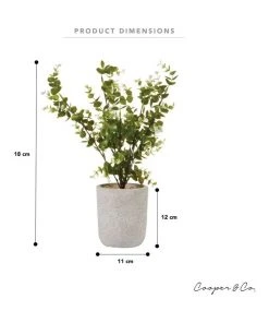 Top 10 🎉 Cooper & Co 40cm Zanzibar Artificial Plant 😀 -Deals Home Décor Store 827669260 6 720x928