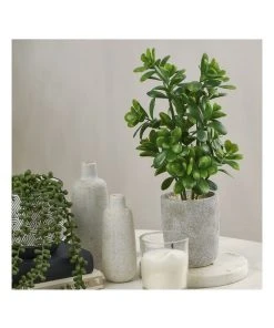 Outlet 🎉 Cooper & Co 40cm Sweet Plum Artificial Plant ❤️ -Deals Home Décor Store 827669350 2 720x928