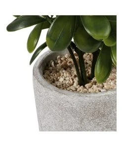 Outlet 🎉 Cooper & Co 40cm Sweet Plum Artificial Plant ❤️ -Deals Home Décor Store 827669350 3 720x928