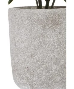 Outlet 🎉 Cooper & Co 40cm Sweet Plum Artificial Plant ❤️ -Deals Home Décor Store 827669350 4 720x928