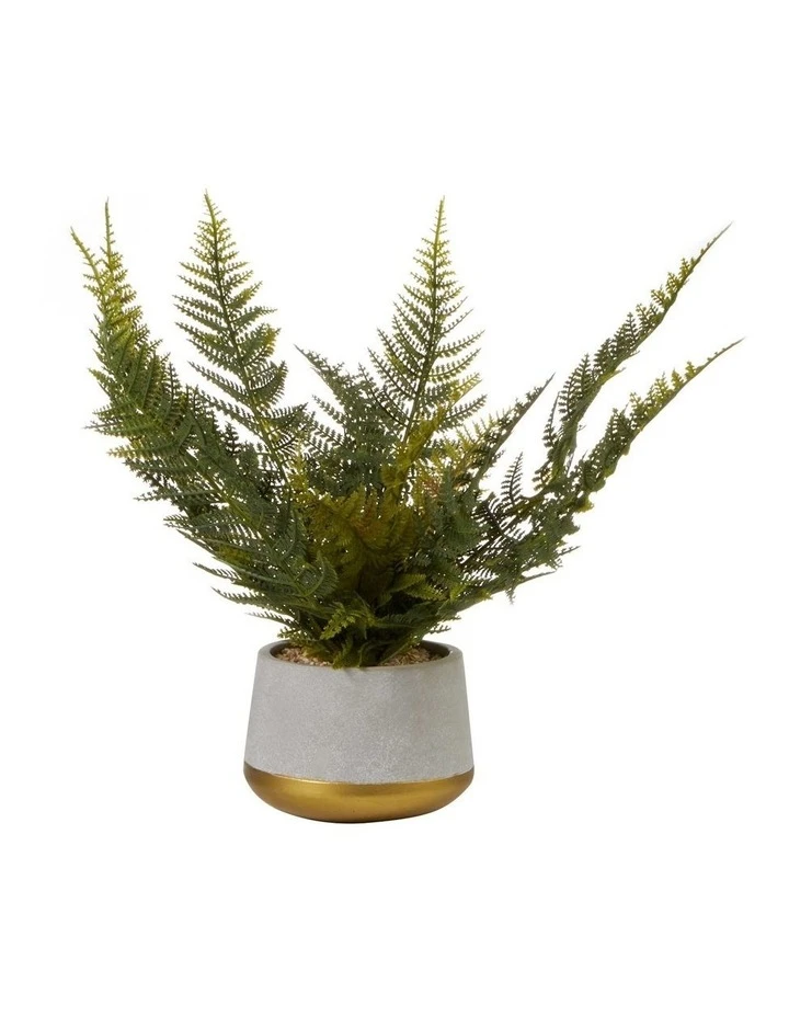 Brand new 🧨 Cooper & Co 40cm Fern Artificial Plant ✨ 1 Brand new 🧨 Cooper & Co 40cm Fern Artificial Plant ✨