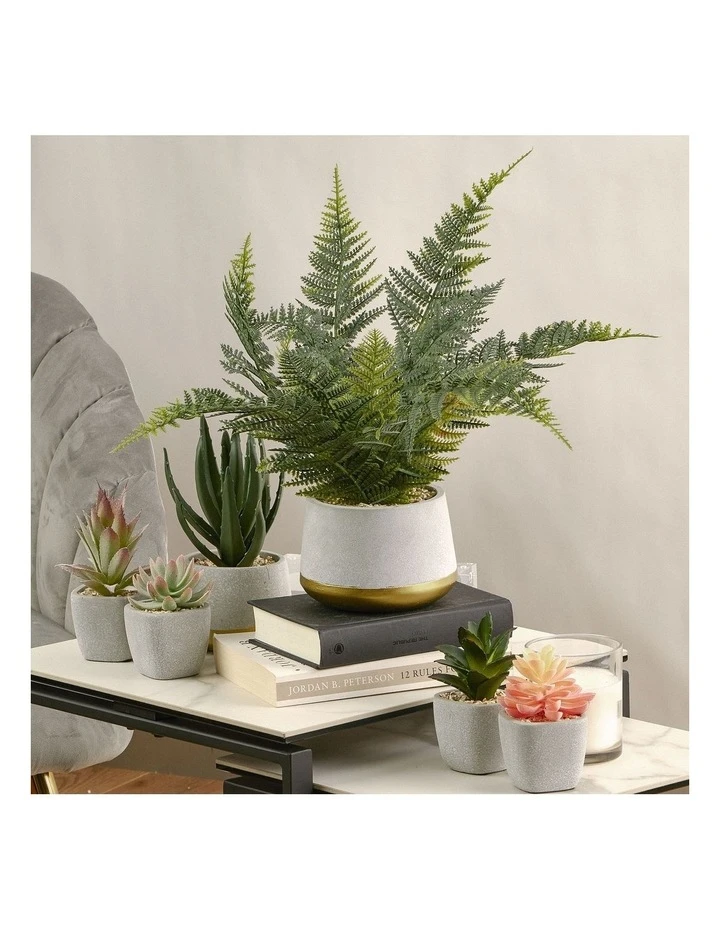 Brand new 🧨 Cooper & Co 40cm Fern Artificial Plant ✨ 2 Brand new 🧨 Cooper & Co 40cm Fern Artificial Plant ✨ - Image 2