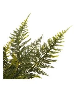 Brand new 🧨 Cooper & Co 40cm Fern Artificial Plant ✨ 9 Brand new 🧨 Cooper & Co 40cm Fern Artificial Plant ✨ -Deals Home Décor Store 827669530 4 720x928