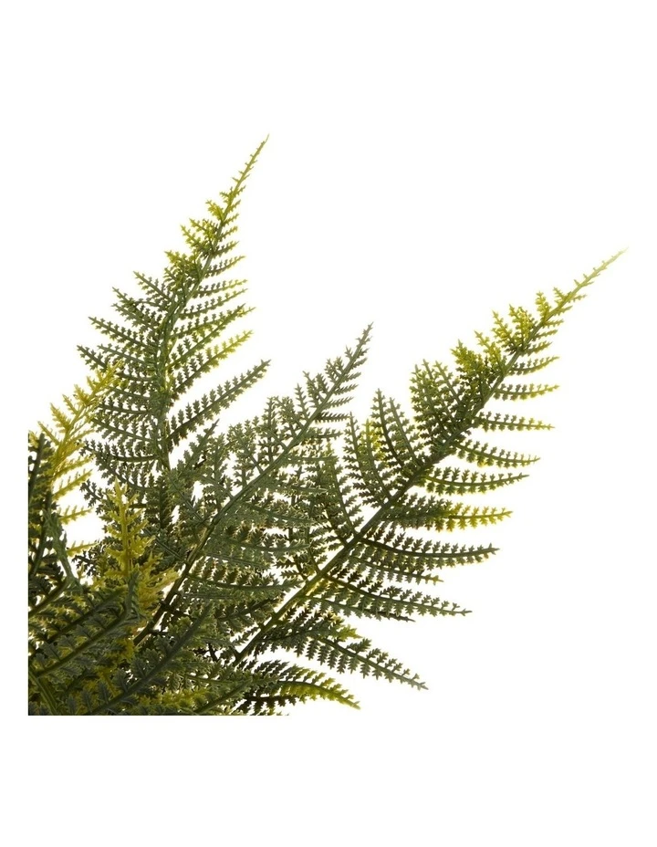 Brand new 🧨 Cooper & Co 40cm Fern Artificial Plant ✨ 4 Brand new 🧨 Cooper & Co 40cm Fern Artificial Plant ✨ - Image 4