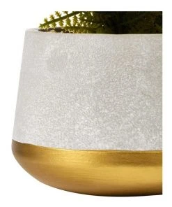 Brand new 🧨 Cooper & Co 40cm Fern Artificial Plant ✨ 10 Brand new 🧨 Cooper & Co 40cm Fern Artificial Plant ✨ -Deals Home Décor Store 827669530 5 720x928