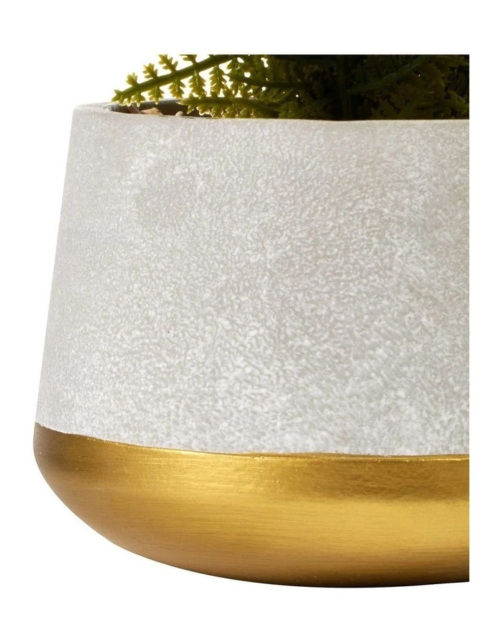 Brand new 🧨 Cooper & Co 40cm Fern Artificial Plant ✨ 5 Brand new 🧨 Cooper & Co 40cm Fern Artificial Plant ✨ - Image 5