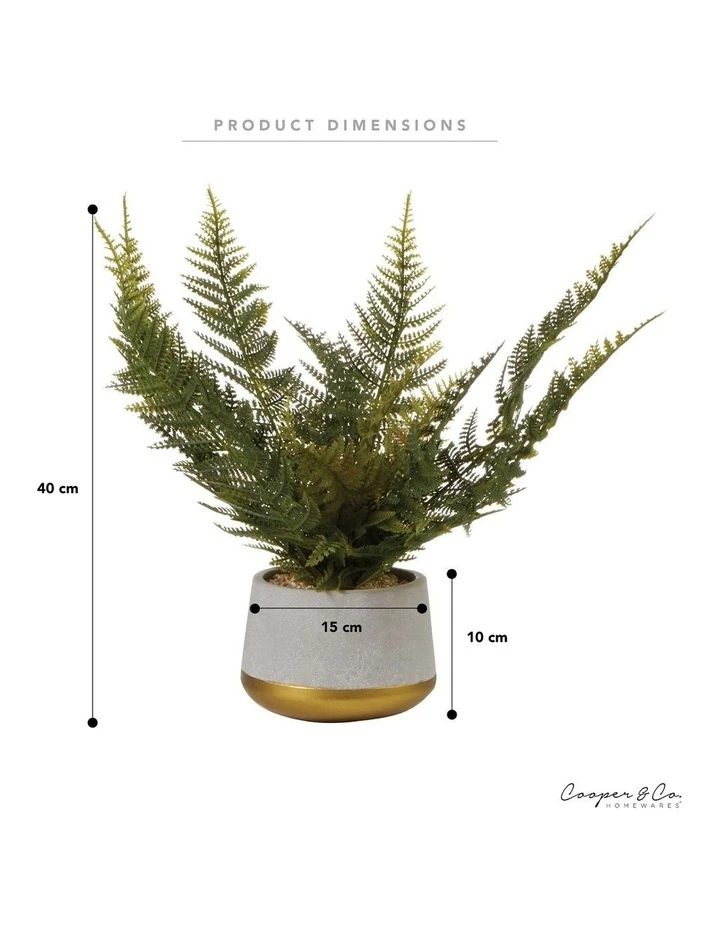 Brand new 🧨 Cooper & Co 40cm Fern Artificial Plant ✨ 6 Brand new 🧨 Cooper & Co 40cm Fern Artificial Plant ✨ - Image 6