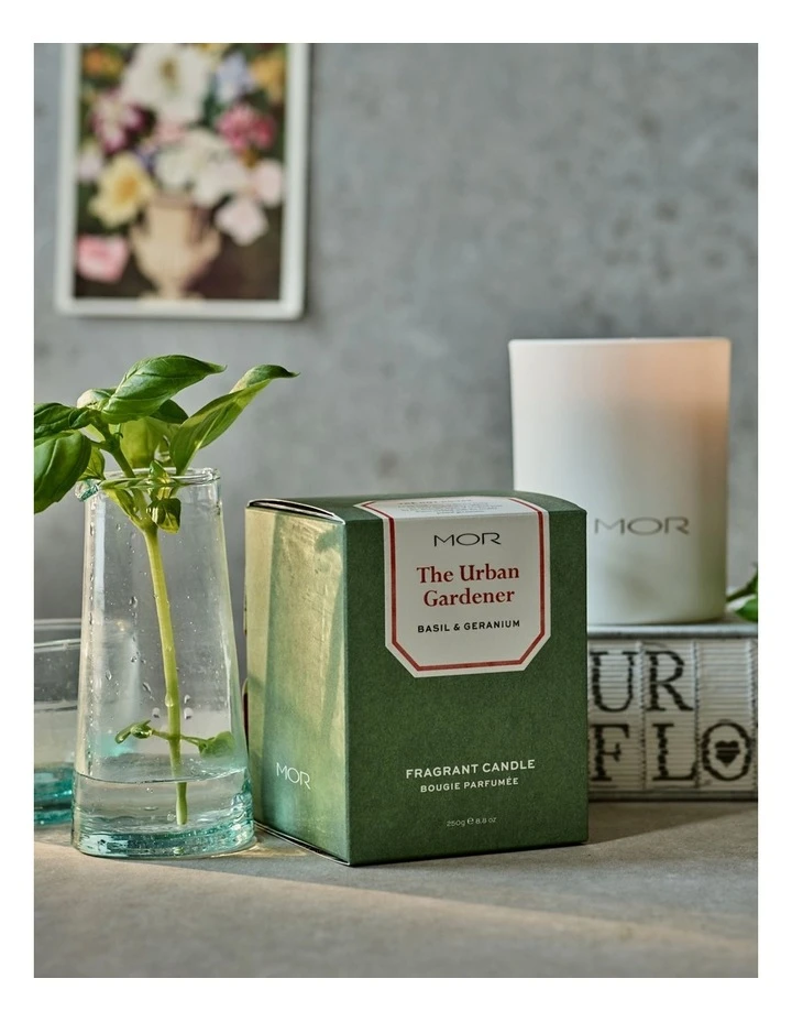 Best Pirce ✨ MOR The Urban Gardener: Basil & Geranium Fragrant Candle 🎉 2 Best Pirce ✨ MOR The Urban Gardener: Basil & Geranium Fragrant Candle 🎉 - Image 2