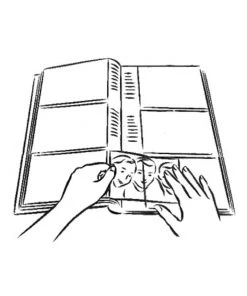 Best Sale π Profile Orchid Noir Slip-in 4x6 300 Photo Capacity Photo Album White β 11 Best Sale π Profile Orchid Noir Slip-in 4x6 300 Photo Capacity Photo Album White β -Deals Home DΓ©cor Store 828474670 5 1 720x928