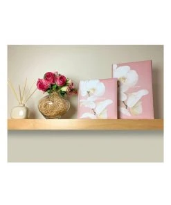 Cheapest ❤️ Profile Kyoto Slip-in Slip-in 4x6 300 Photo Capacity Photo Album Pink ✨ -Deals Home Décor Store 828474850 5 1 720x928