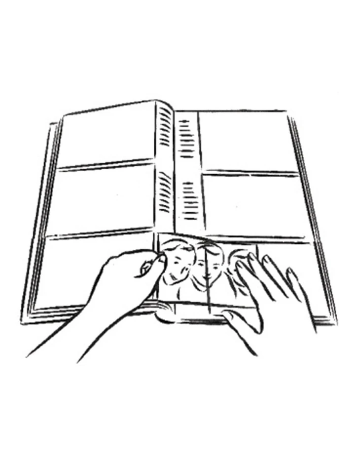 New π Profile Golden Palms 300 Capacity Photo Capacity Photo Album Yellow π 4 New π Profile Golden Palms 300 Capacity Photo Capacity Photo Album Yellow π - Image 4