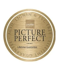 New π Profile Golden Palms 300 Capacity Photo Capacity Photo Album Yellow π 12 New π Profile Golden Palms 300 Capacity Photo Capacity Photo Album Yellow π -Deals Home DΓ©cor Store 828475300 6 2 720x928