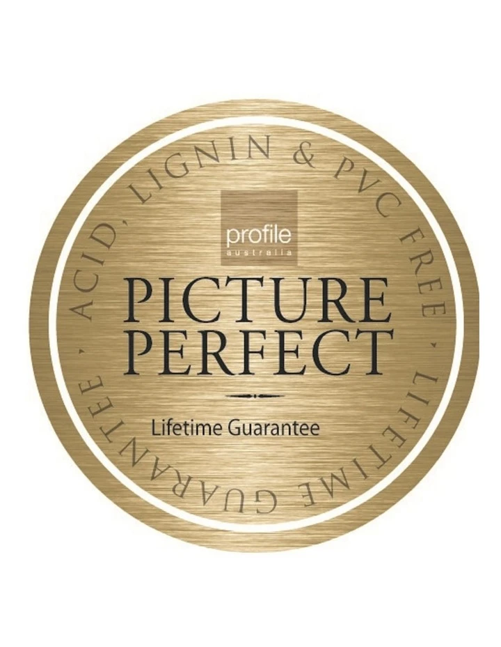 New π Profile Golden Palms 300 Capacity Photo Capacity Photo Album Yellow π 6 New π Profile Golden Palms 300 Capacity Photo Capacity Photo Album Yellow π - Image 6