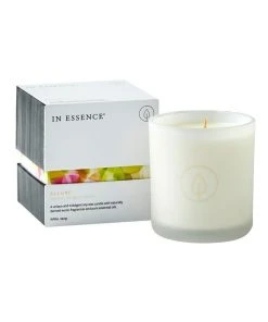 Promo βοΈ In Essence Allure Coconut, Mango & Caramel Candle π