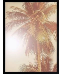 Cheapest 👍 Urban Road Sunkissed Palm Print Black Frame 🌟