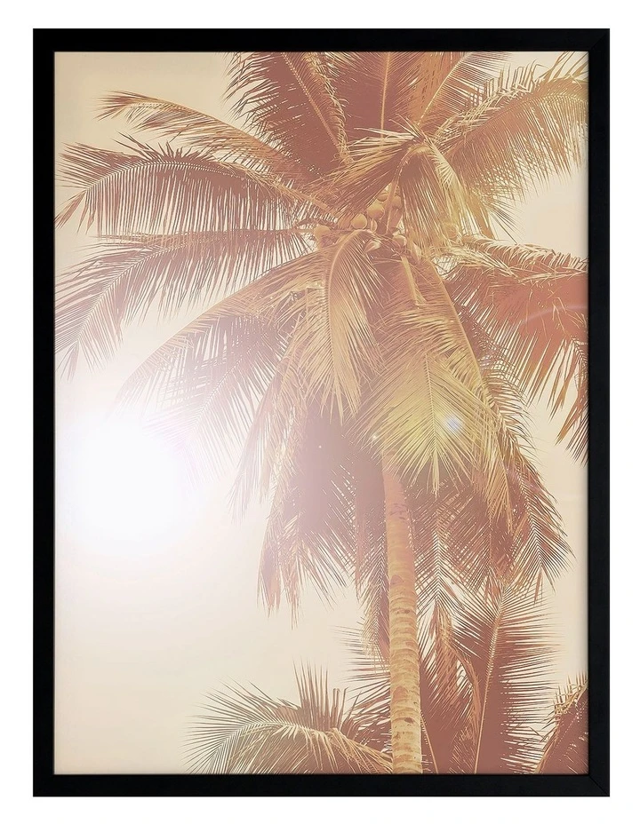 Cheapest π Urban Road Sunkissed Palm Print Black Frame π 1 Cheapest π Urban Road Sunkissed Palm Print Black Frame π