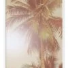 Best reviews of ❤️ Urban Road Sunkissed Palm Print White Frame 🥰