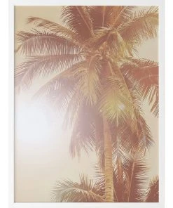Best reviews of ❤️ Urban Road Sunkissed Palm Print White Frame 🥰