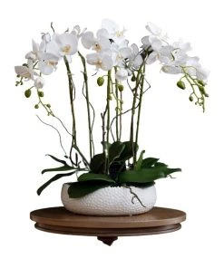 Promo ✔️ Vicky Yao Real Touch PEVA 6 stems White Phalaenopsis Arrangement in White pot ⭐